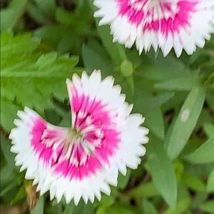 Meet your Posher, Jon